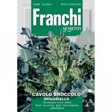 Franchi880615 Cavolo Broccolo